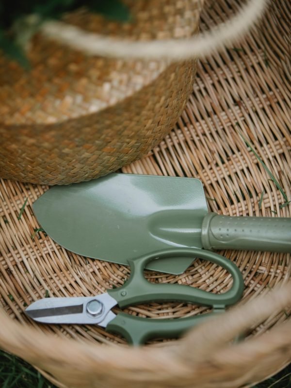 Lawn and garden hand tools in a wicker basket for outdoor planting and landscaping.